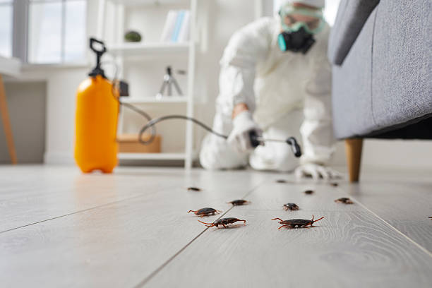 Commercial Kitchen Cockroach Control in Pendleton